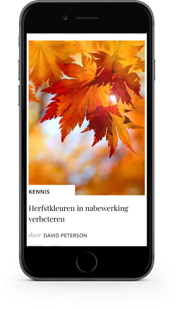 Smartphone met website voorbeeld